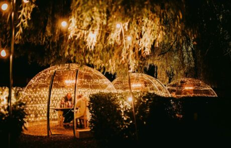 Dome Dining at the Willow Tree, Bourn